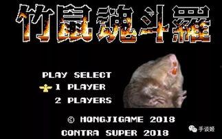 大竹鼠视频,自然界的“地下探险家”